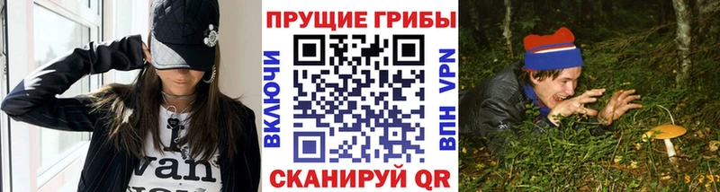 сайты даркнета клад  Лесосибирск  Галлюциногенные грибы Psilocybine cubensis  гидра tor 