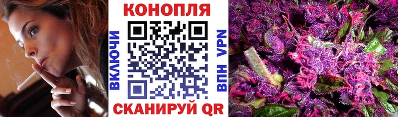 Конопля конопля  где найти   Лесосибирск 